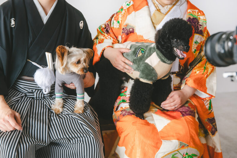 愛犬やペットと一緒に撮影できる富山のフォトウェディング