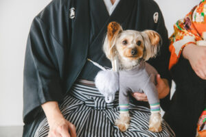 富山県射水市にあるウエディングフォトスタジオシャトンで行った新郎新婦の和装スタジオフォトウェディングで愛犬と撮影しているフォトウェディング