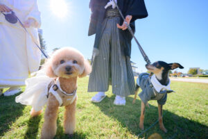 富山県射水市にあるウエディングフォトスタジオシャトンで行った愛犬と撮影するファミリーフォトウェディング