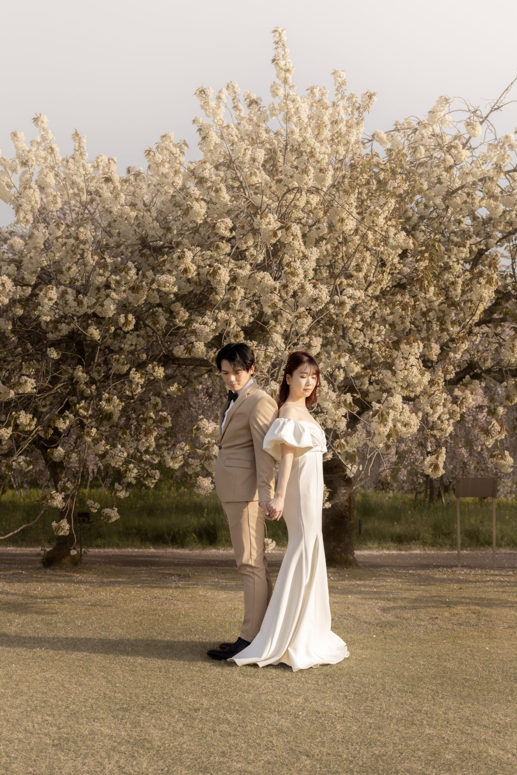 富山県射水市にあるウエディングフォトスタジオシャトンで行った新郎新婦が桜の木の下でフォトウェディングを行なっている様子